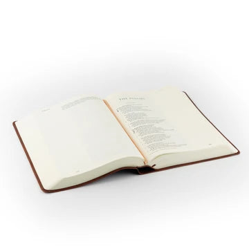 ESV Large Print Journaling Verona Bible
