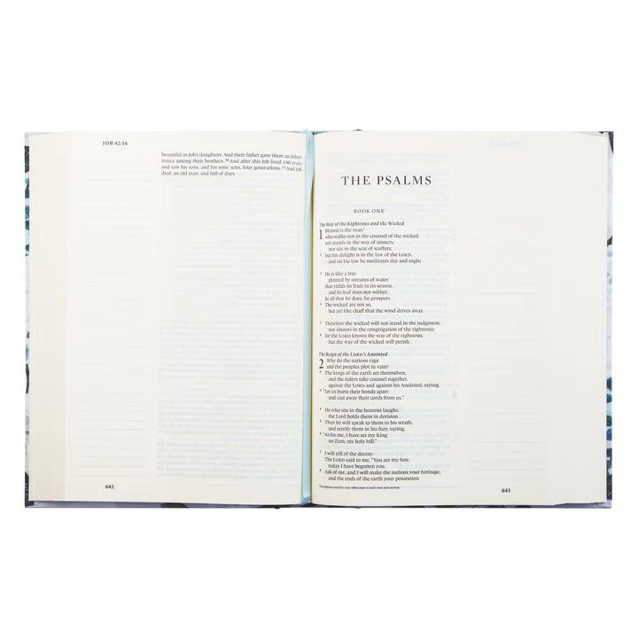 ESV Large Print Victoria Bible