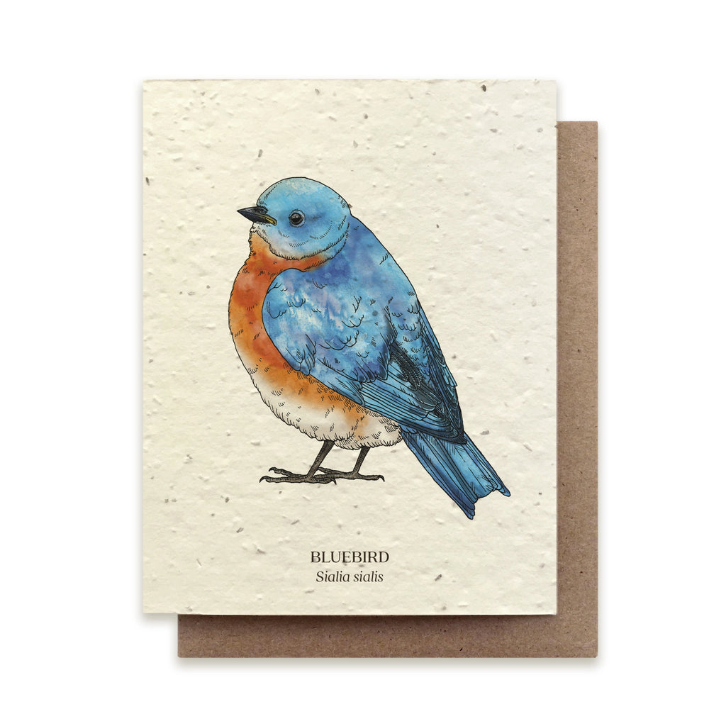 Seed Card