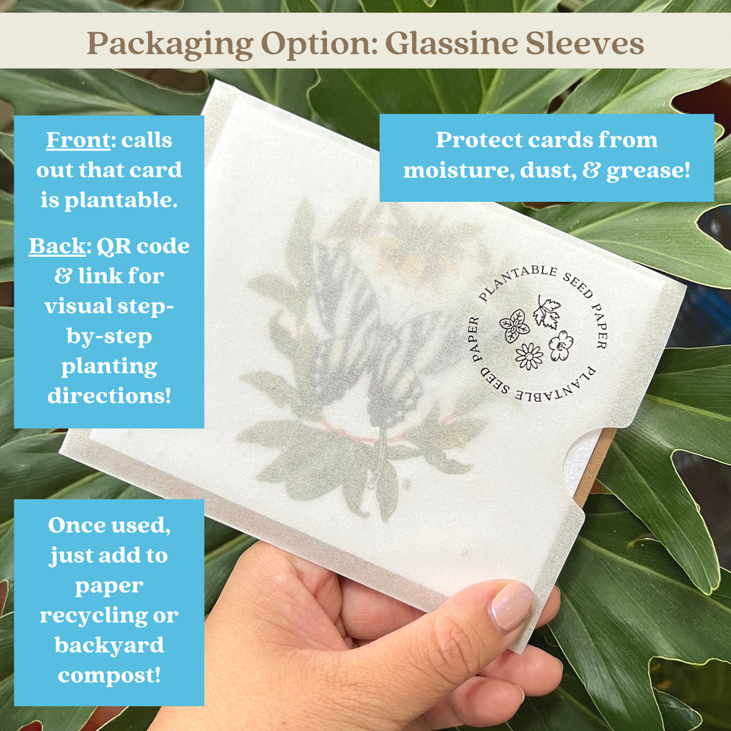 Seed Card