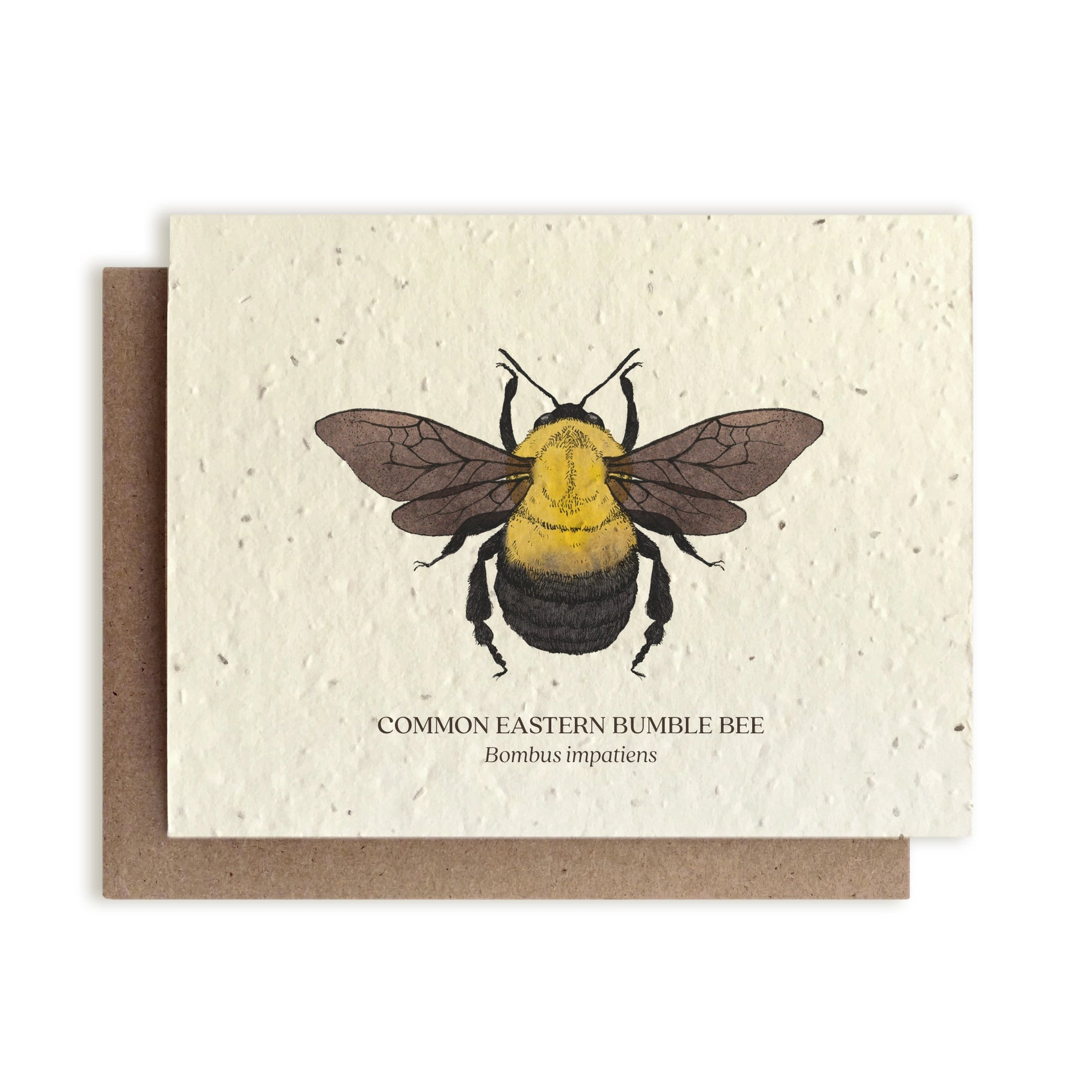 Seed Card