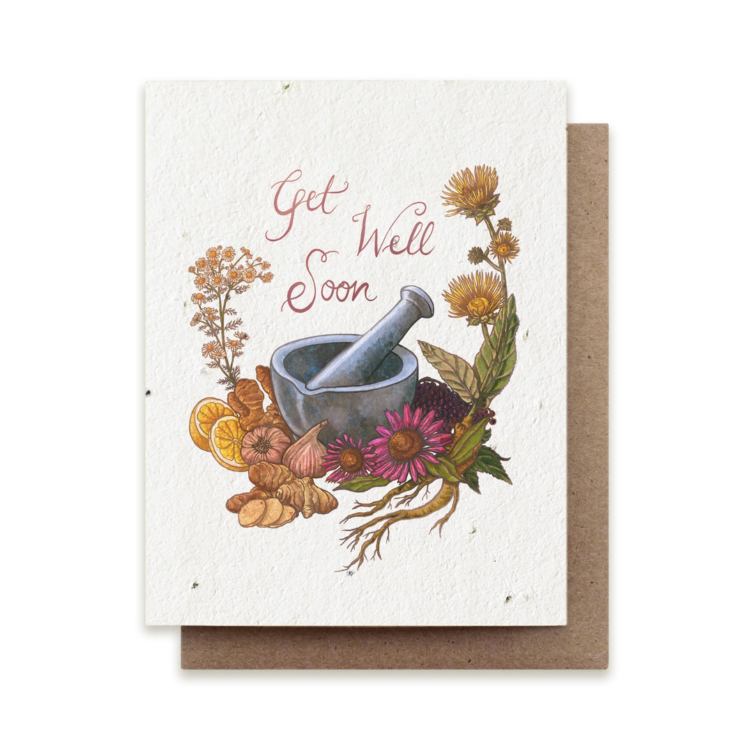 Seed Card