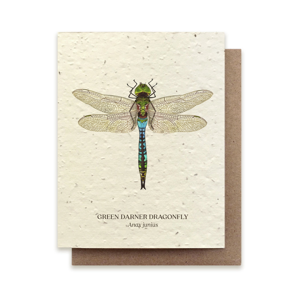 Seed Card