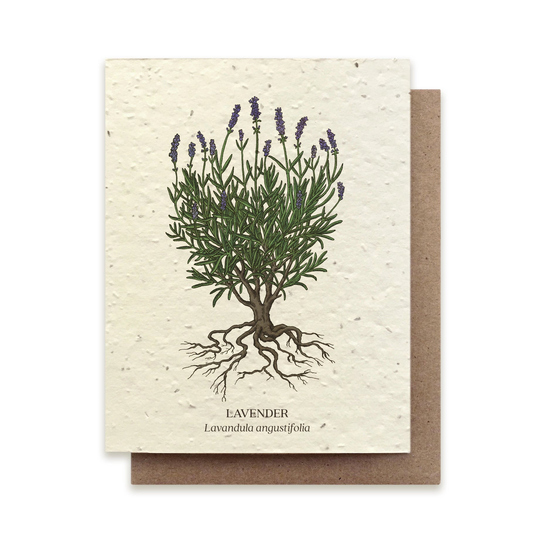 Seed Card