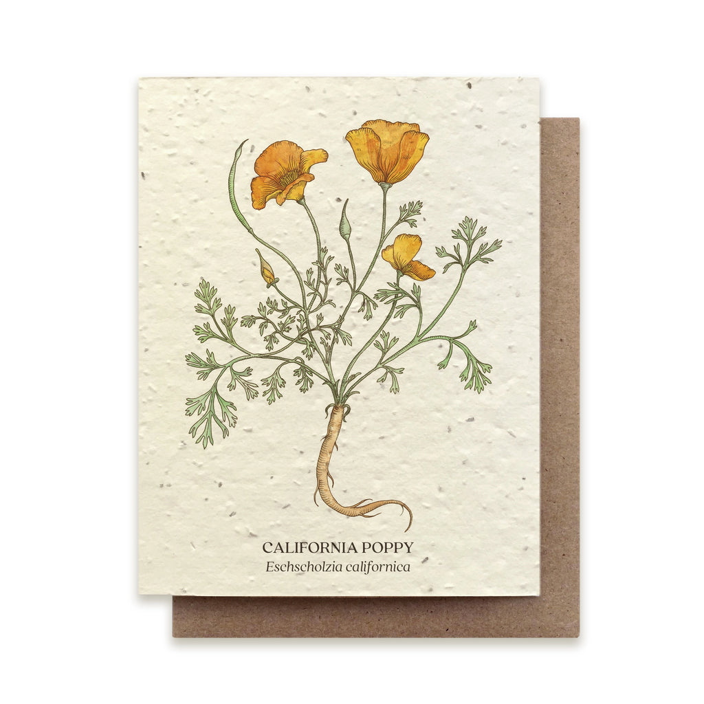 Seed Card