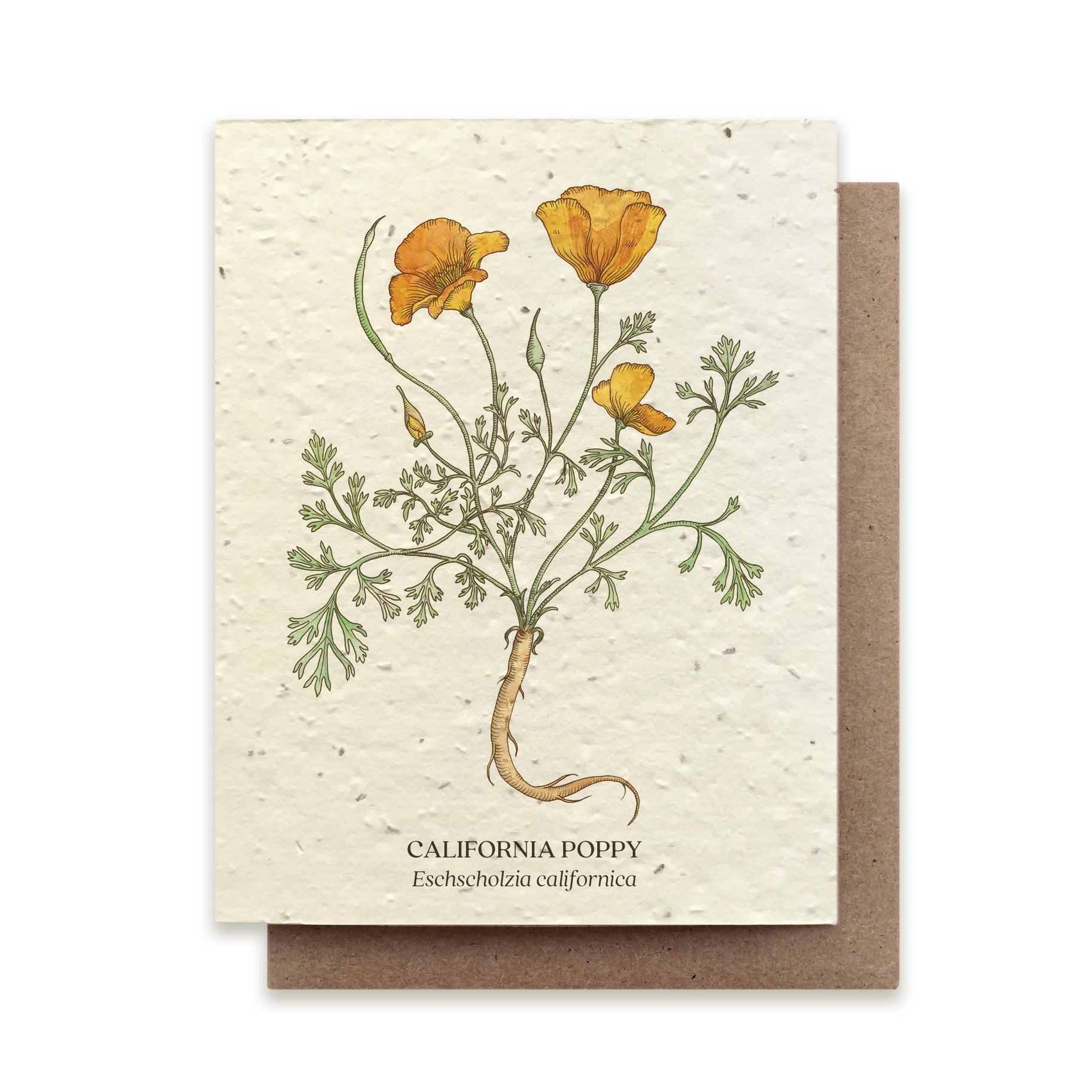 Seed Card