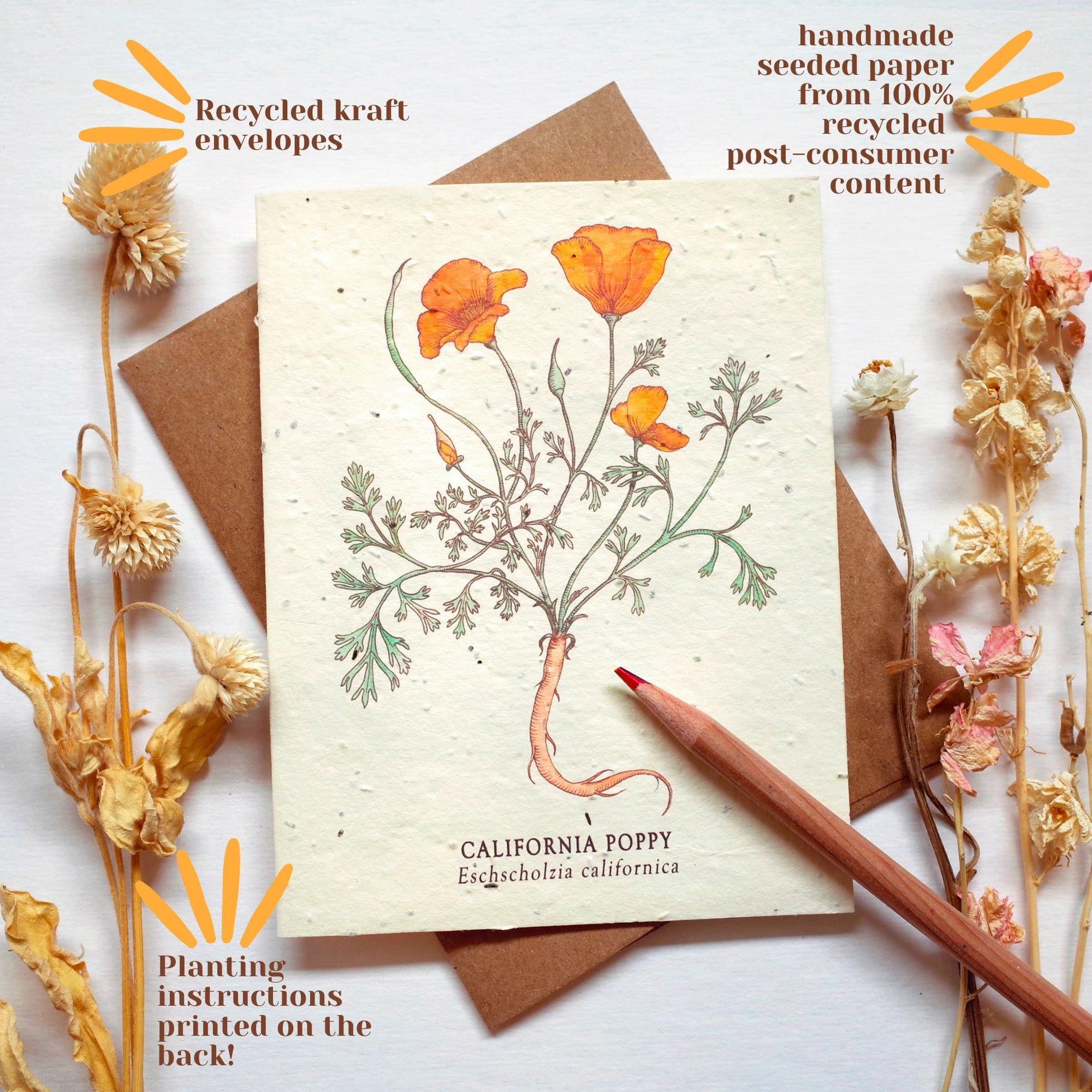 Seed Card