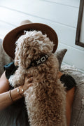 XO Dog Collars