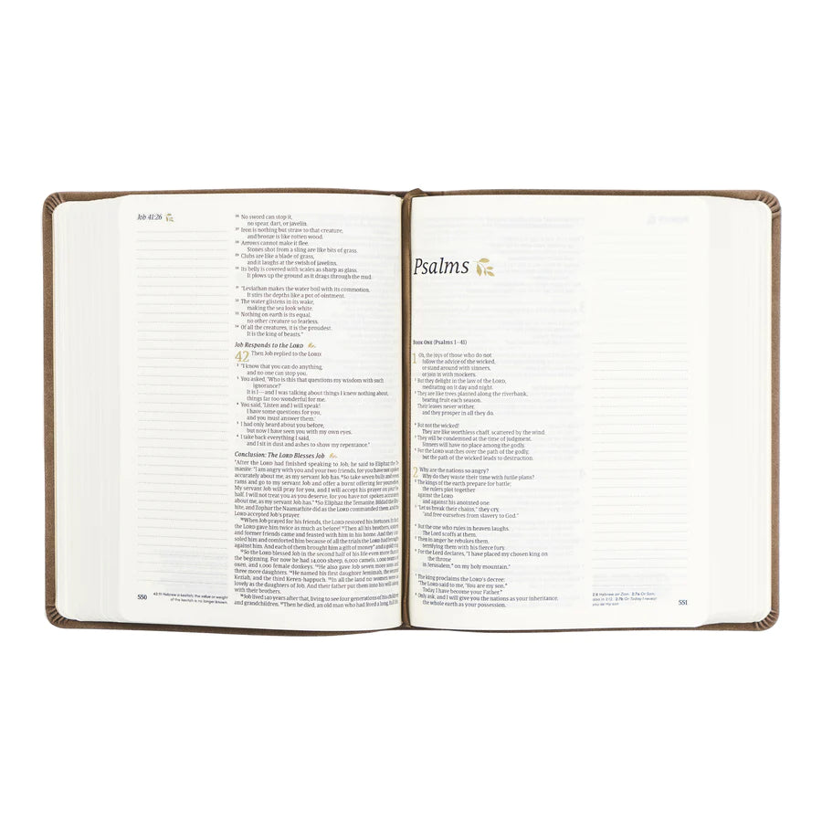 NLT Marlo Bible
