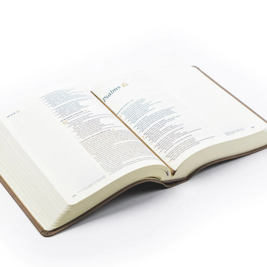 NLT Marlo Bible