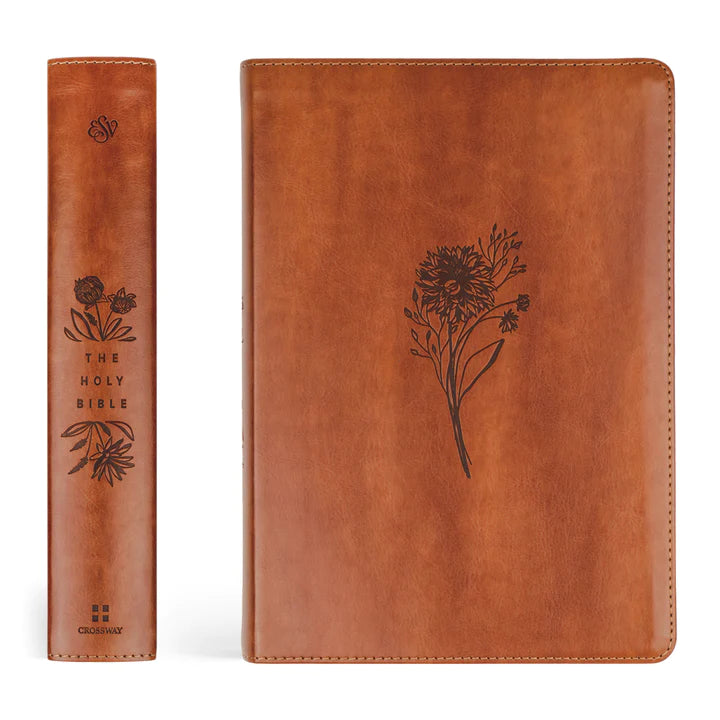 ESV Large Print Sierra Bible