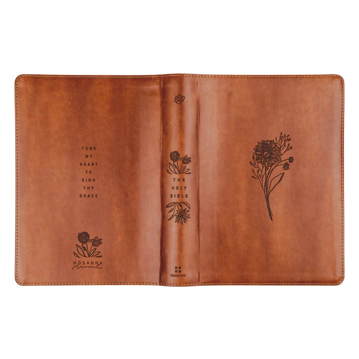 ESV Large Print Sierra Bible