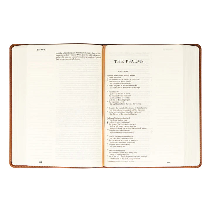ESV Large Print Sierra Bible