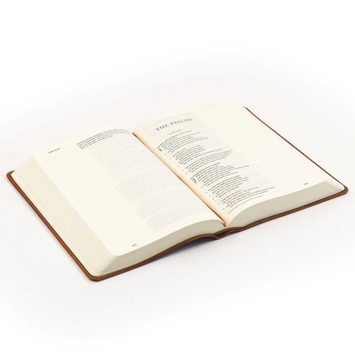 ESV Large Print Sierra Bible