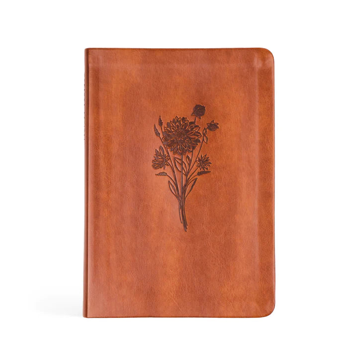 Sierra Notebook