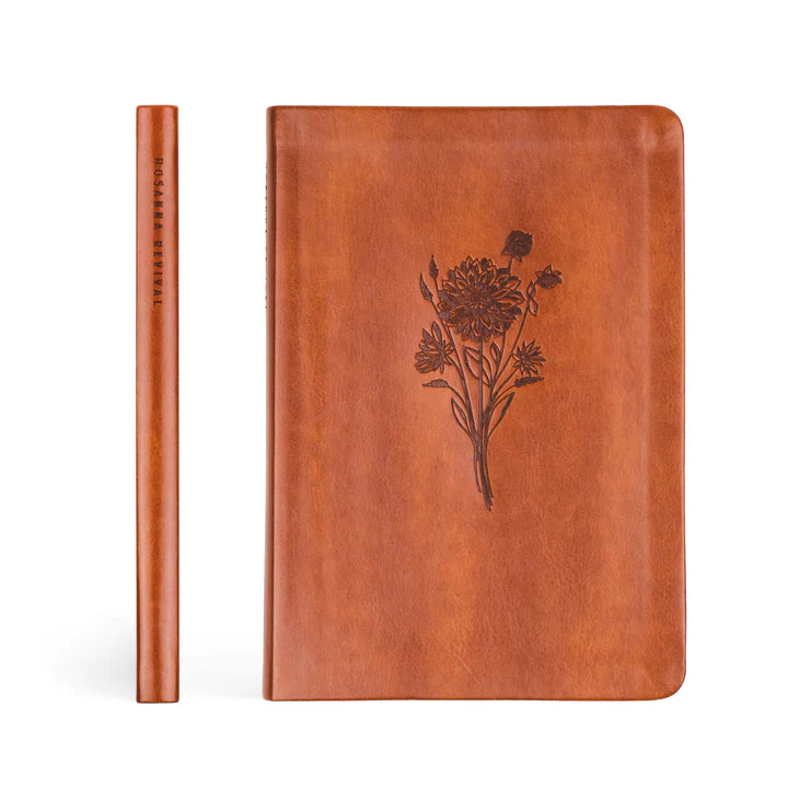 Sierra Notebook