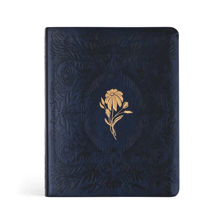 NLT Versailles Bible