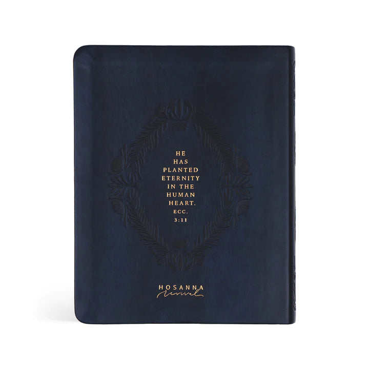 NLT Versailles Bible