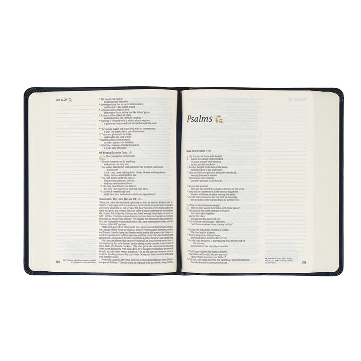 NLT Versailles Bible