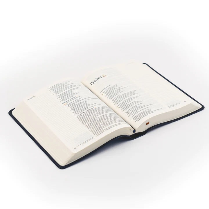 NLT Versailles Bible