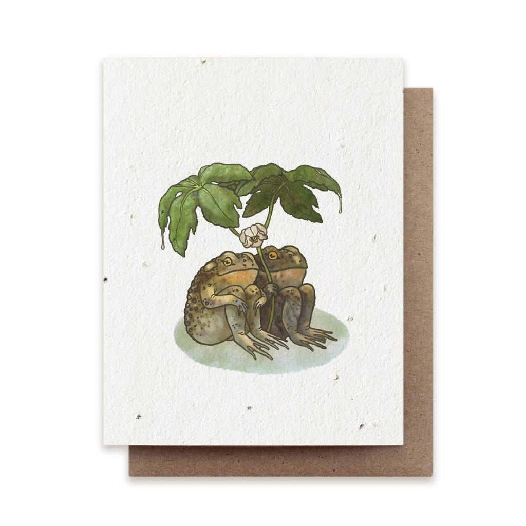 Seed Card