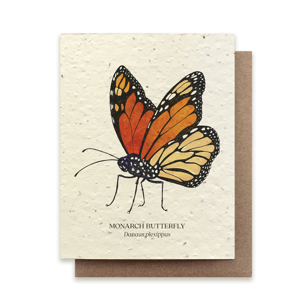 Seed Card