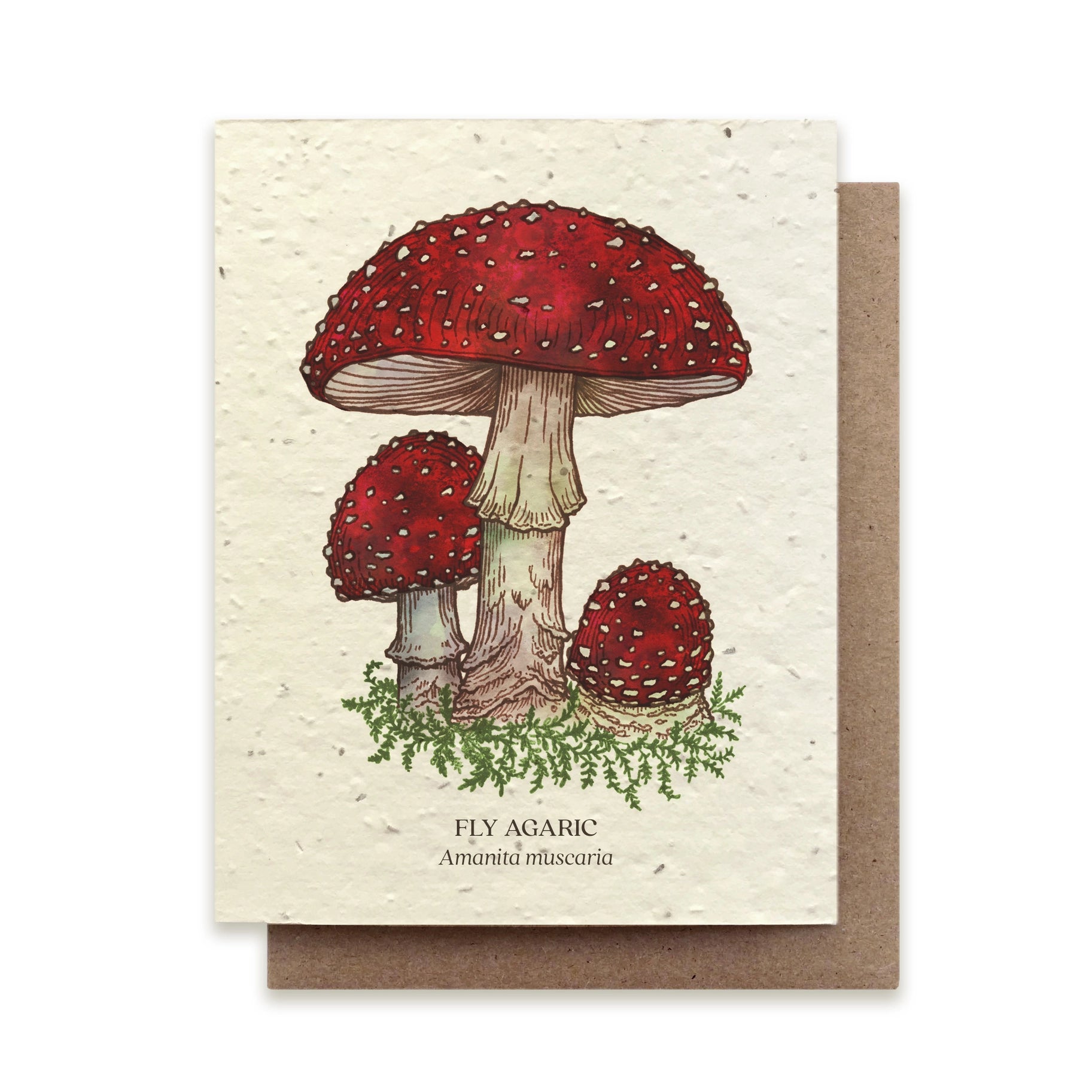 Seed Card