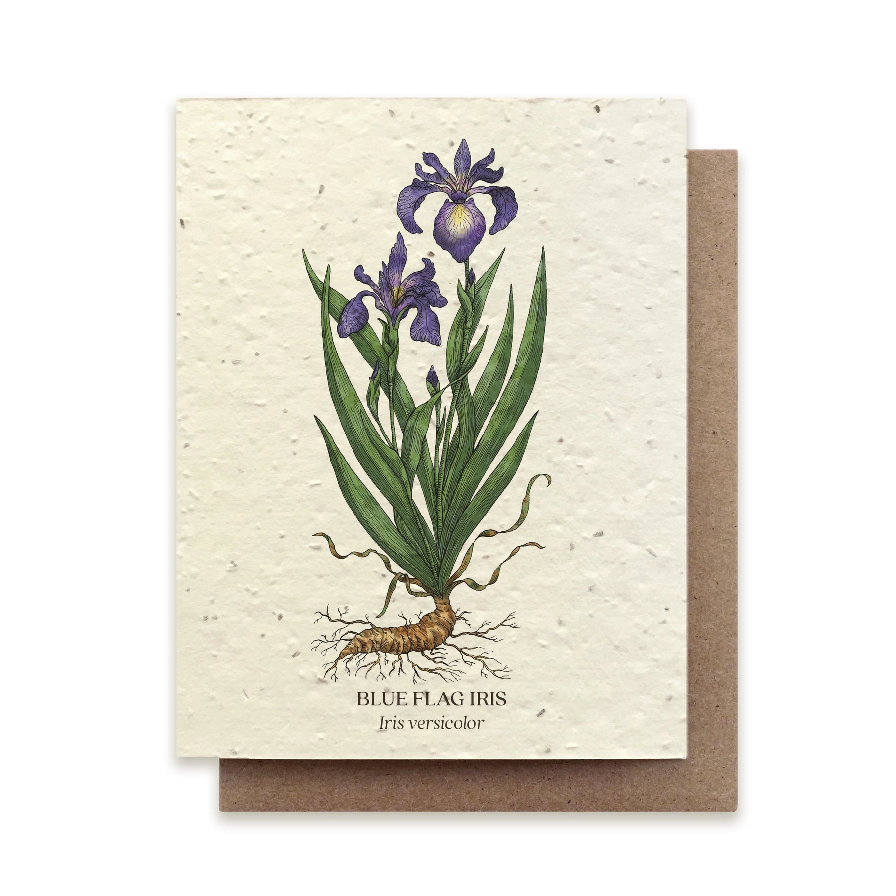 Seed Card